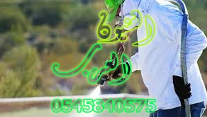 عزل فوم بخميس مشيط