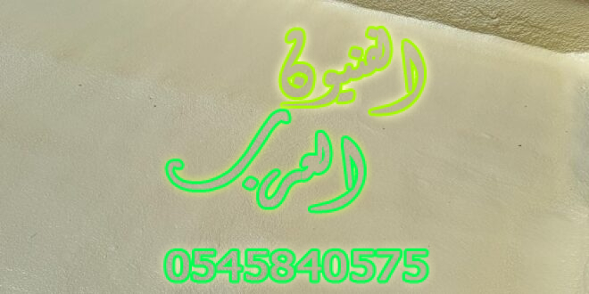 عزل فوم بالرس